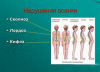 image_0.png